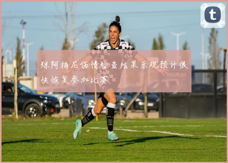 琼阿梅尼伤情检查结果乐观预计很快恢复参加比赛