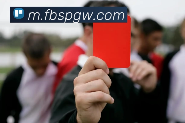 FB体育官网发展历程